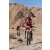 Team 50 / Raid Amazones Californie - J2 VTT