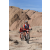 Team 15 / Raid Amazones Californie - J2 VTT