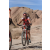 Team 34 / Raid Amazones Californie - J2 VTT