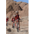 Team 35 / Raid Amazones Californie - J2 VTT
