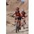 Team 56 / Raid Amazones Californie - J2 VTT
