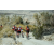 Raid Amazones Californie - J2 VTT