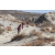 Team 29 / Raid Amazones Californie