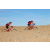 Team 03 / Raid Amazones Californie - J2 VTT