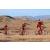 Raid Amazones Californie - J2 VTT