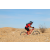 Team 44 / Raid Amazones Californie - J2 VTT