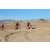 Team 22 / Raid Amazones Californie - J2 VTT