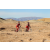 Team 05 / Raid Amazones Californie - J2 VTT