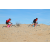 Team 99 / Raid Amazones Californie - J2 VTT