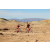 Team 12 / Raid Amazones Californie - J2 VTT