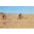 Team 45 / Raid Amazones Californie - J2 VTT