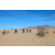 Raid Amazones Californie - J2 VTT