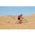 Team 89 / Raid Amazones Californie - J2 VTT