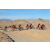 Team 23 / Raid Amazones Californie