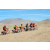 Team 74 / Raid Amazones Californie
