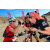 Team 43 / Raid Amazones Californie - J2 VTT