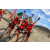 Raid Amazones Californie - J2 VTT