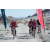 Team 91 / Raid Amazones Californie - J2 VTT