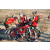 Team 61 / Raid Amazones Californie - J2 VTT