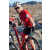 Team 29 / Raid Amazones Californie - J2 VTT