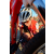 Team 21 / Raid Amazones Californie - J2 VTT