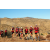 Team 68 / Raid Amazones Californie