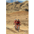 Team 95 / Raid Amazones Californie - J2 VTT