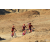 Team 22 / Raid Amazones Californie - J2 VTT