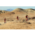 Team 72 / Raid Amazones Californie - J2 VTT