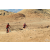 Team 85 / Raid Amazones Californie - J2 VTT