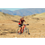 Raid Amazones Californie - J2 VTT