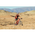 Team 16 / Raid Amazones Californie