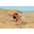 Team 51 / Raid Amazones Californie - J2 VTT