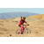 Team 48 / Raid Amazones Californie - J2 VTT