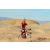 Team 91 / Raid Amazones Californie - J2 VTT