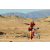 Team 97 / Raid Amazones Californie - J2 VTT