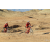 Team 79 / Raid Amazones Californie - J2 VTT