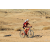 Team 24 / Raid Amazones Californie - J2 VTT