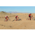Team 24 / Raid Amazones Californie - J2 VTT