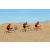 Team 68 / Raid Amazones Californie - J2 VTT