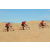 Team 12 / Raid Amazones Californie - J2 VTT