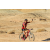 Team 58 / Raid Amazones Californie - J2 VTT