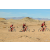 Team 58 / Raid Amazones Californie - J2 VTT