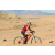 Team 58 / Raid Amazones Californie - J2 VTT
