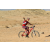 Team 92 / Raid Amazones Californie - J2 VTT