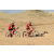 Team 52 / Raid Amazones Californie - J2 VTT