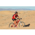 Team 66 / Raid Amazones Californie - J2 VTT