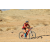 Team 41 / Raid Amazones Californie - J2 VTT