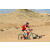 Team 41 / Raid Amazones Californie - J2 VTT