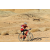 Team 89 / Raid Amazones Californie - J2 VTT